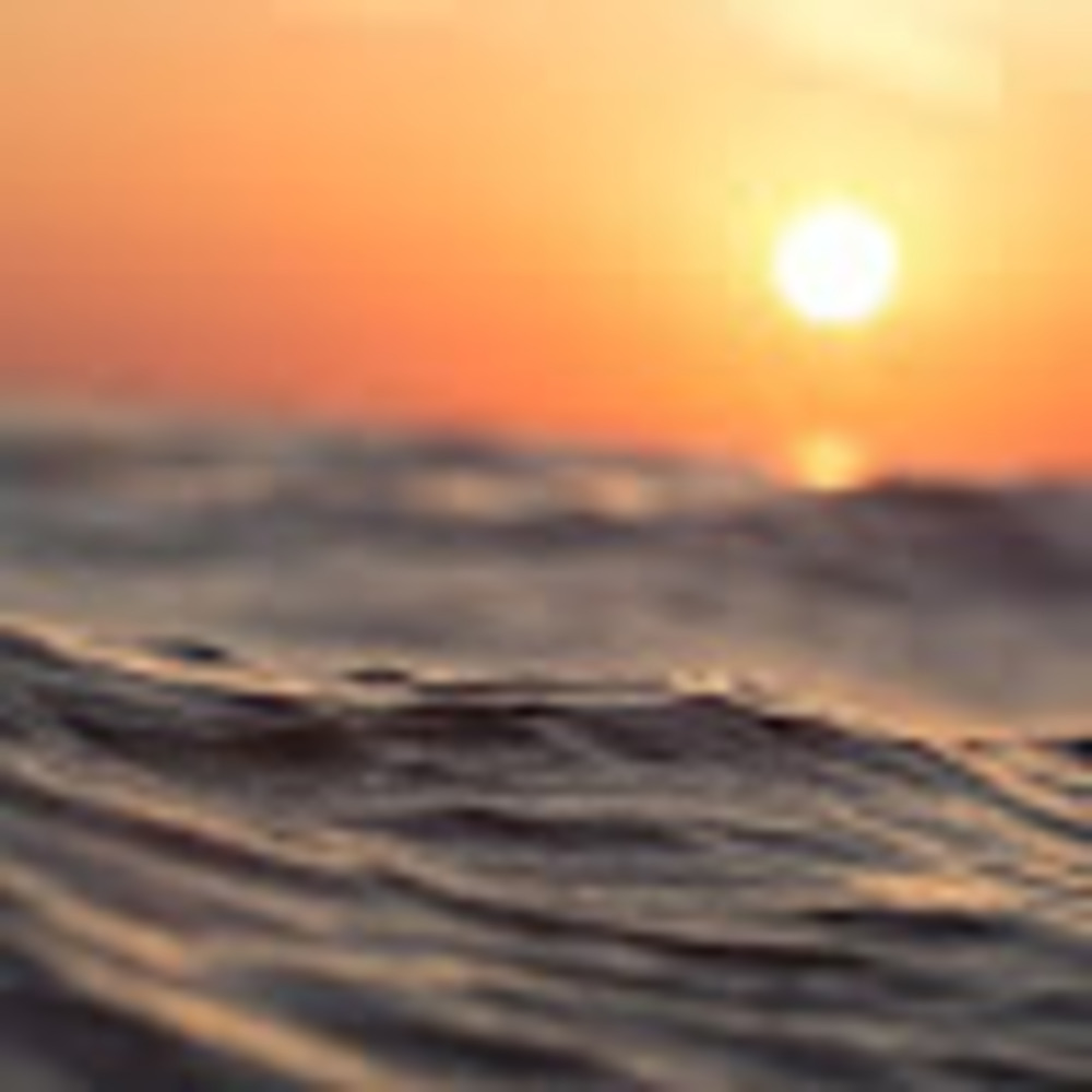 Meet your Posher, Allie